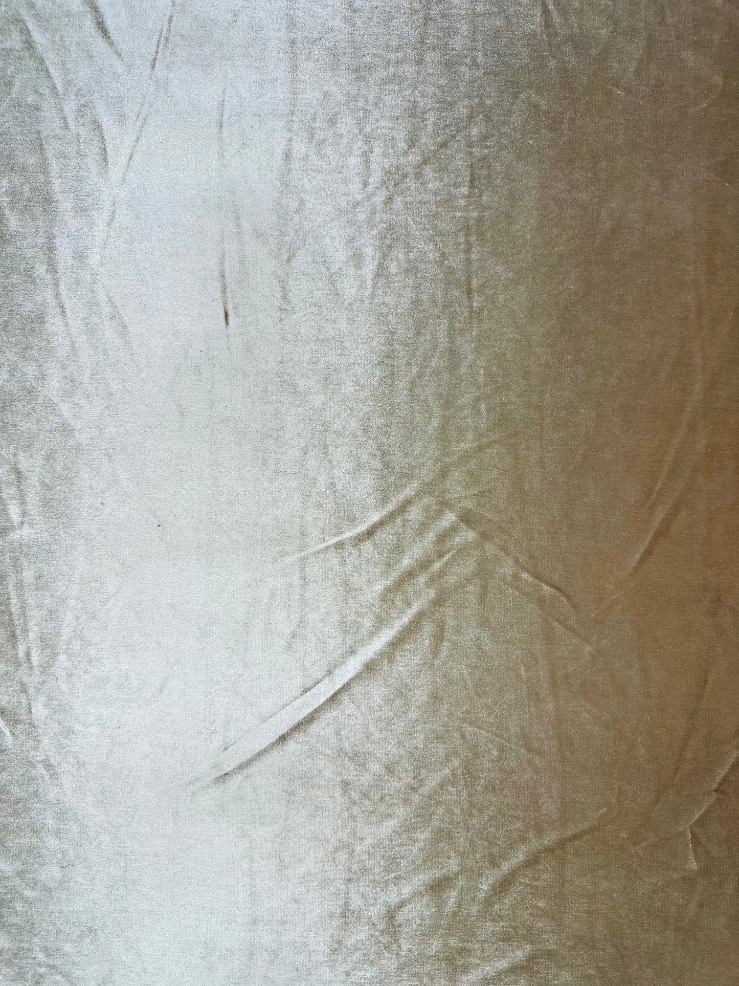 Light Gold Plain Velvet